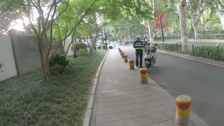 Leafy pavement on a city street in China