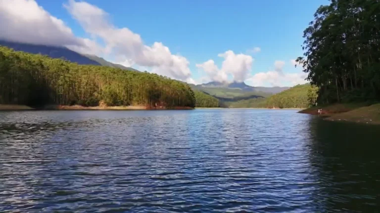 Lake surrounded by forested hills near Munnar, Kerala, India