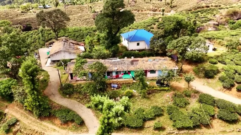 Aerial view of houses among tea gardens in Munnar, Kerala, India