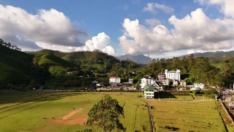 Green fields and hills under a blue sky in Munnar, Kerala, India
