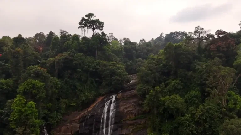 Waterfall in a forested valley in Munnar, Kerala, India