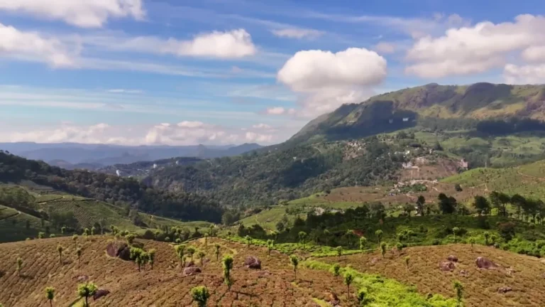 Hillside under a bright blue sky in Munnar, Kerala, India