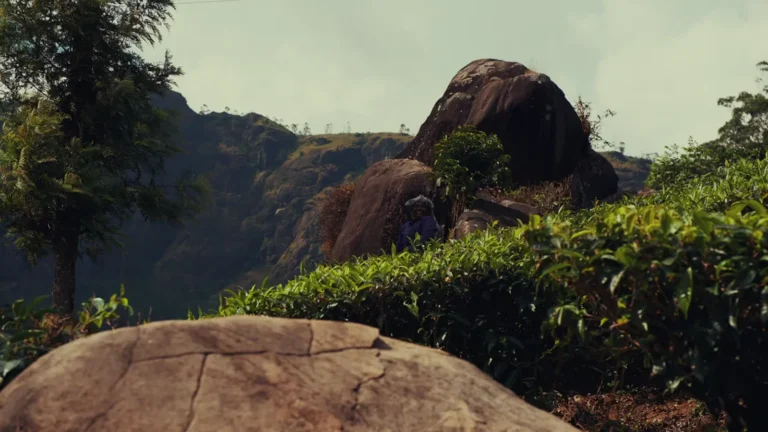 Large boulders above forested hills in Munnar, Kerala, India