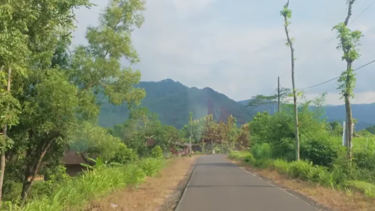 Country lane through trees towards mountains in Java, Indonesia