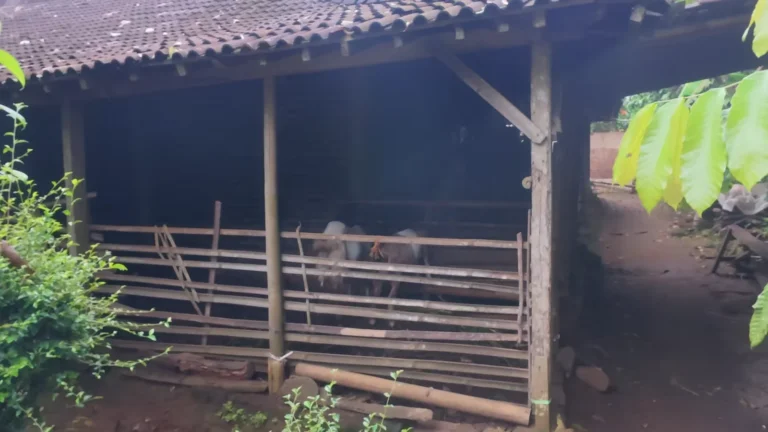 Wooden barn with a tiled roof in Java, Indonesia