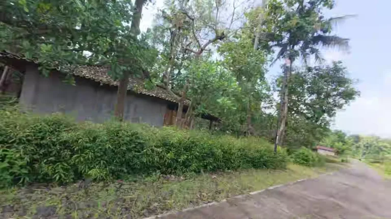 Village lane and bushes under a cloudy sky in Java, Indonesia