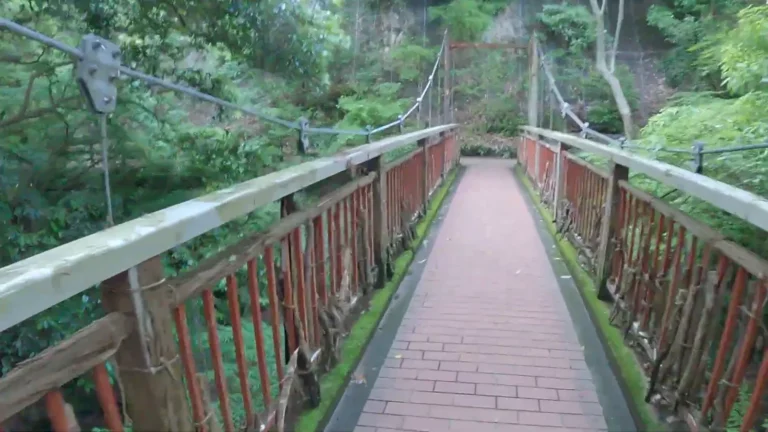 Wooden footbridge through a forest in Japan