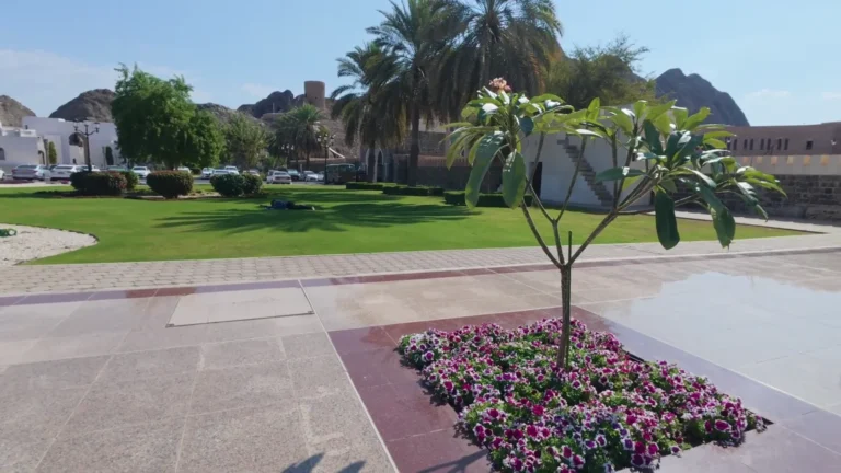 Flowerbeds and palm trees in a landscaped plaza in Oman