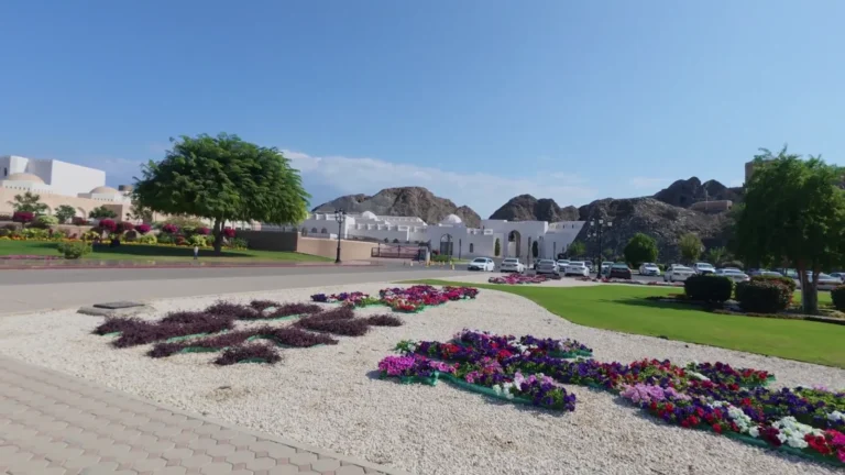 Flower displays on a lawn below rocky hills in Oman