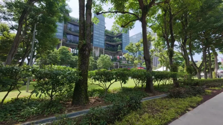 Leafy riverside walkway among towers in Singapore