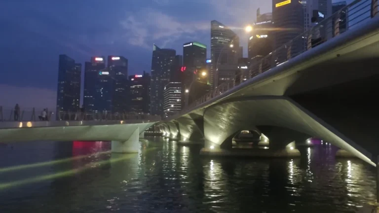 Bridge and city lights at dusk in Singapore