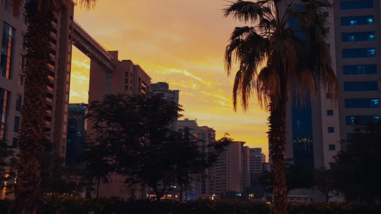 Palm trees and towers at sunset in Dubai, UAE