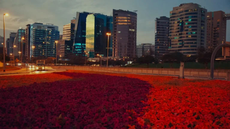 Red flowerbeds below towers in Dubai, UAE